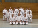 Ditzingen 2008