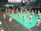 Mitsuya-Kai Summit Palermo 2009