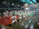 Mitsuya-Kai Summit Palermo 2009