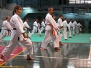Mitsuya-Kai Summit Palermo 2009