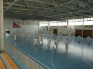 Hungary 2010