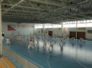 Hungary 2010