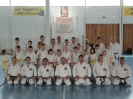 03-04 Jul 10 International Meeting & Seminar in Püspökladàny (HUNGARY)