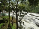 Cochin 2010