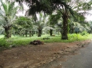 Cochin 2010