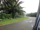 Cochin 2010