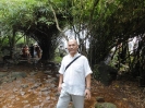 Cochin 2010