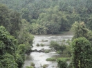 Cochin 2010