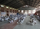 Cochin 2010