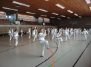 Ludwigsburg-Stuttgart  2010