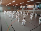 Ludwigsburg-Stuttgart  2010