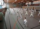Ludwigsburg-Stuttgart  2010