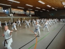 Ludwigsburg-Stuttgart  2010