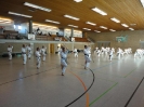 Ludwigsburg-Stuttgart  2010