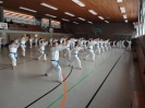 Ludwigsburg-Stuttgart  2010