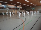 Ludwigsburg-Stuttgart  2010