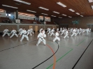Ludwigsburg-Stuttgart  2010