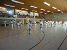 Ludwigsburg-Stuttgart  2010