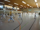 Ludwigsburg-Stuttgart  2010