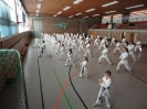 Ludwigsburg-Stuttgart  2010