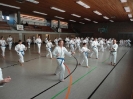 Ludwigsburg-Stuttgart  2010