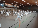 Ludwigsburg-Stuttgart  2010