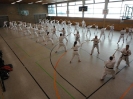 Ludwigsburg-Stuttgart  2010