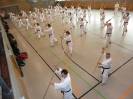 Ludwigsburg-Stuttgart  2010