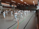 Ludwigsburg-Stuttgart  2010