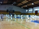 Melilla 2011