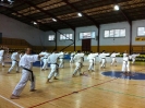 Melilla 2011