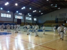Melilla 2011