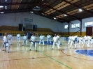 Melilla 2011