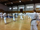 Melilla 2011