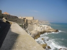 Melilla 2011