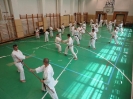 Gasshuku - Hungary 2011