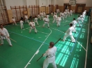Gasshuku - Hungary 2011
