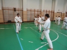 Gasshuku - Hungary 2011