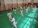 Gasshuku - Hungary 2011