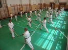 Gasshuku - Hungary 2011