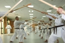 Terrasini - Palermo 2011