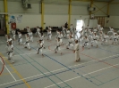 Hotton 2011
