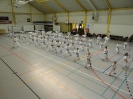 Hotton 2011