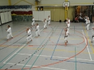 Hotton 2011