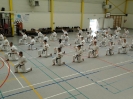 Hotton 2011
