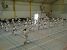 Hotton 2011