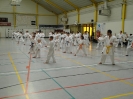 Hotton 2011