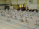 Hotton 2011