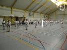 Hotton 2011