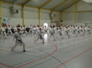 Hotton 2011